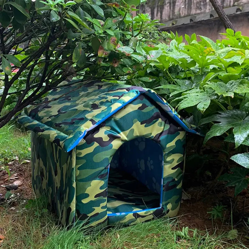 Outdoor cat house